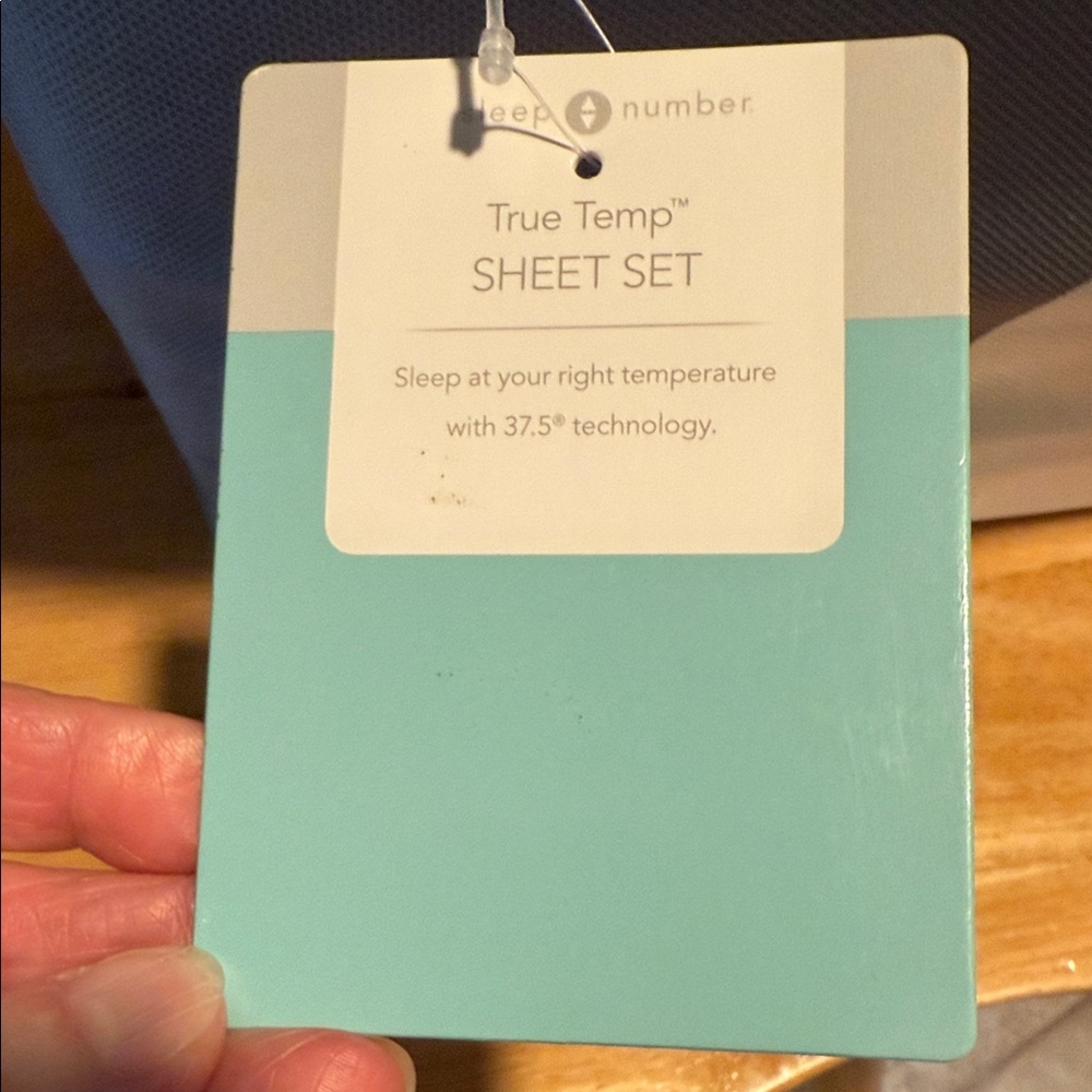 Sleep Number True Temp Sheet Set - Aqua